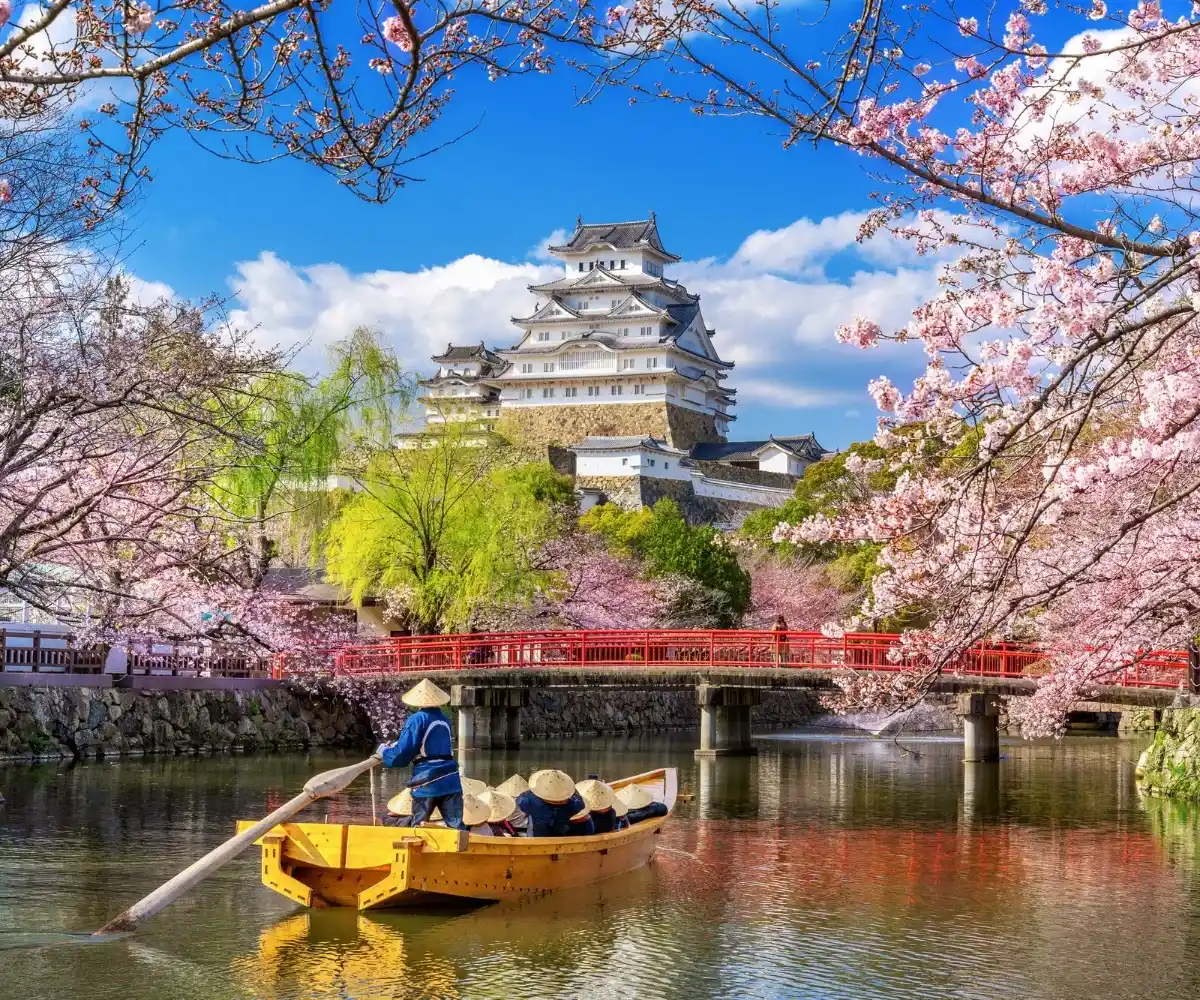 Japan Tours Image 5