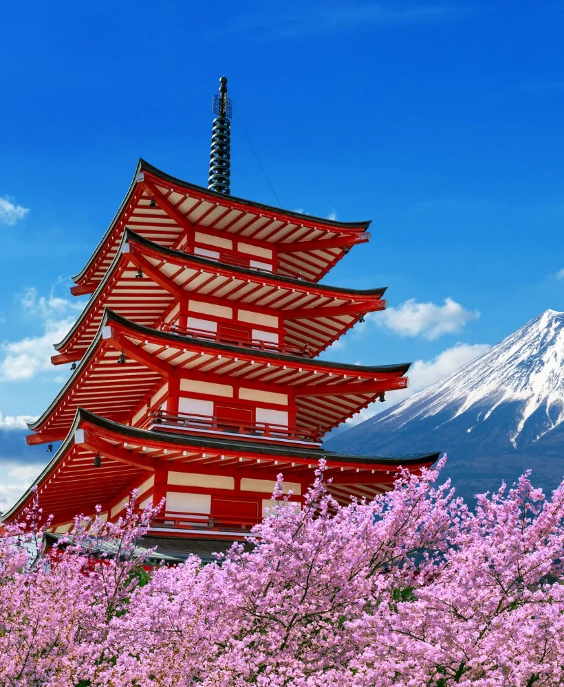 Japan Tours Video
