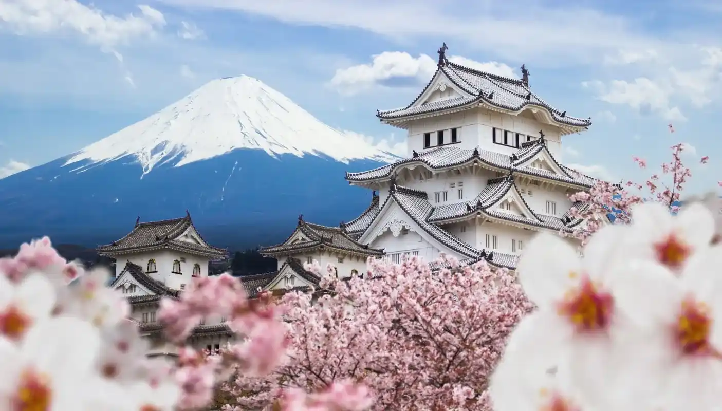 International Guided Tours Image